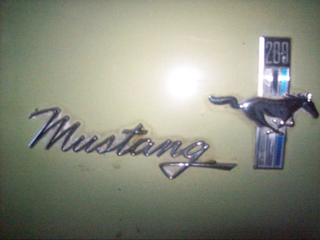 Illustration for article titled Let's post up pictures of all the Mustangs (and variants) I've had
